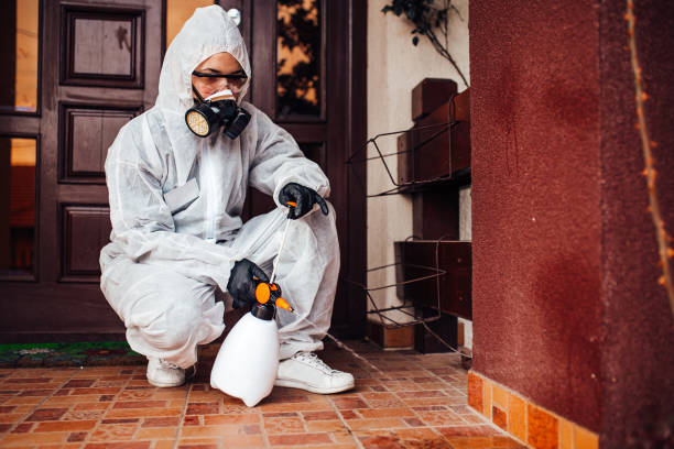Reliable Wasp Removal contractor in Elysburg, PA by Show Me Pest Control